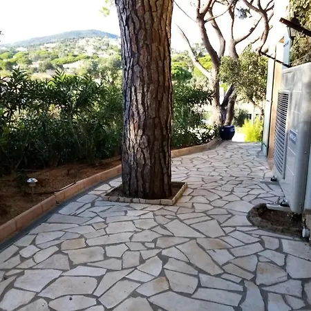 Les Pins D'azur